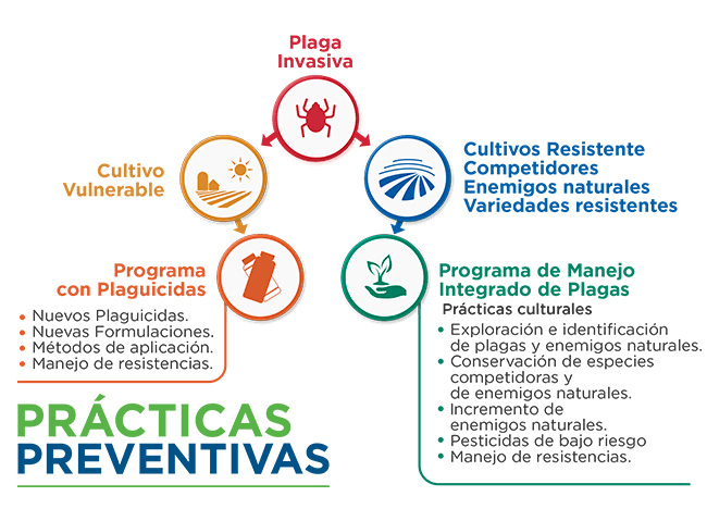 practicas preventivas