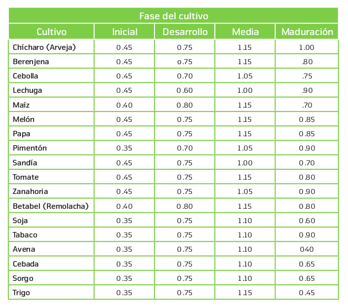 fases cultivo