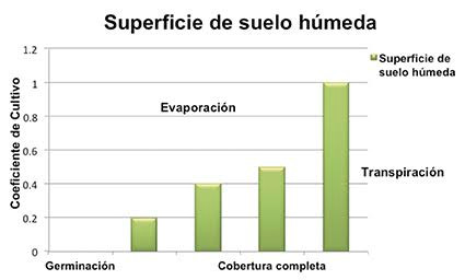 superficie suelo