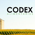 codex