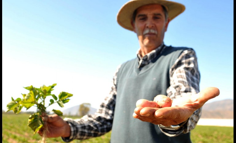 agricultores