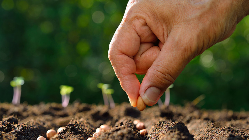 agricultura conservacion