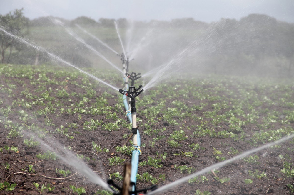 irrigation agriculture