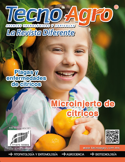 portada124