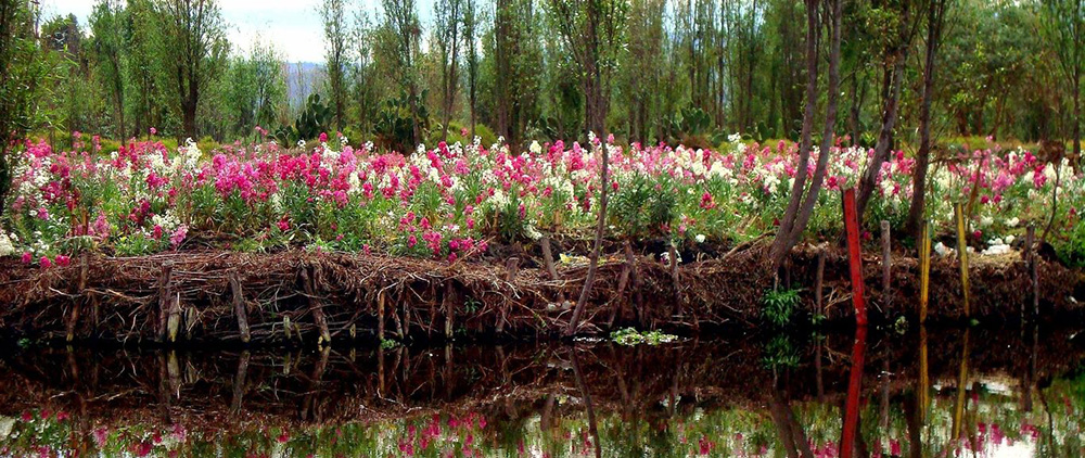 chinampas2