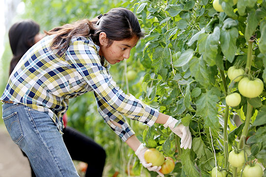 jovenes agronomos2