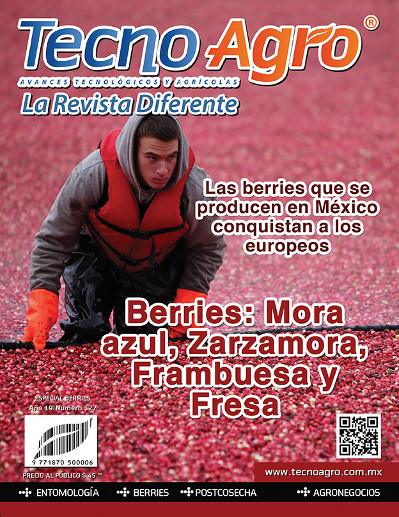 portada127