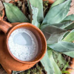 pulque