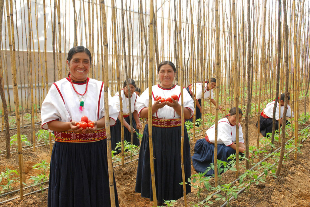 mujeres