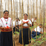 mujeres