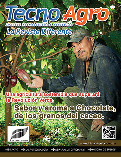 portada131