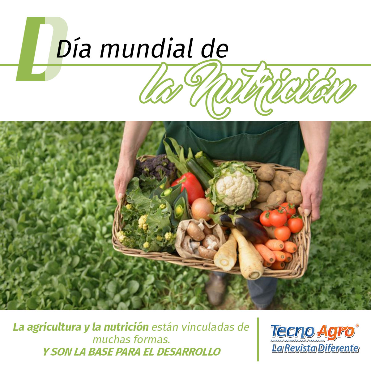 Día internacional NUTRI