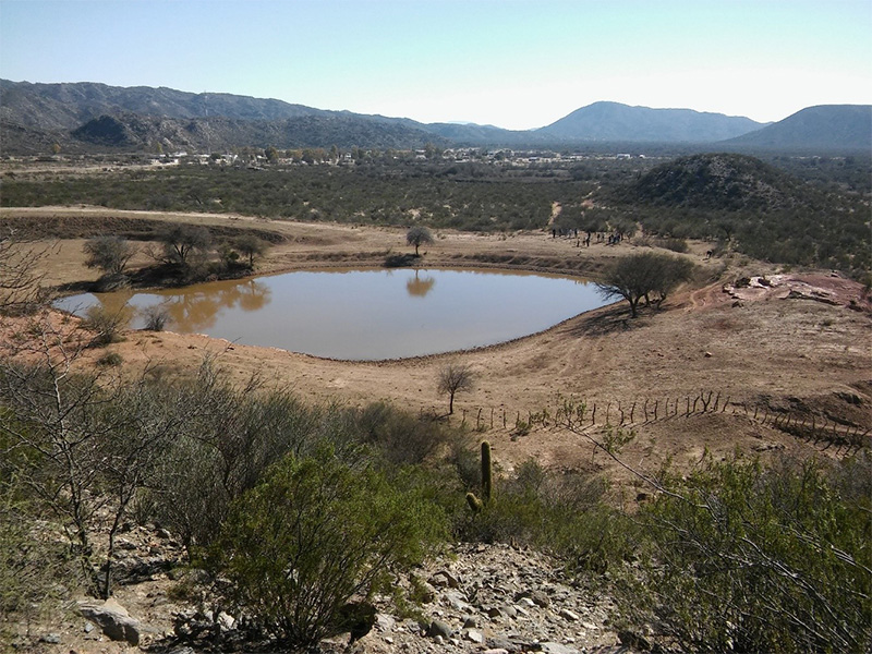 cosecha agua