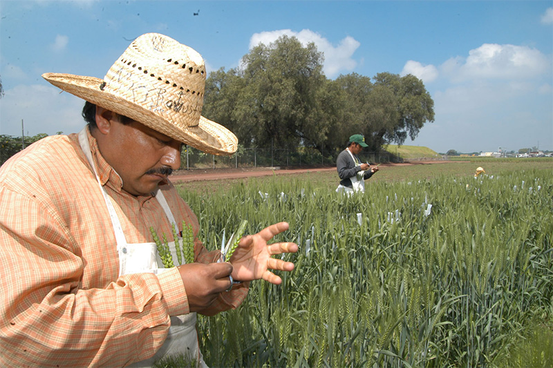 que hacer protección campo