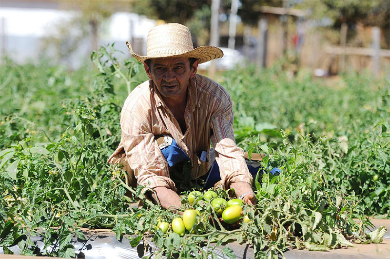 FAO AGRICULTURA FAMILIAR