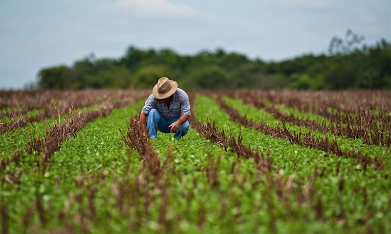 agricultor