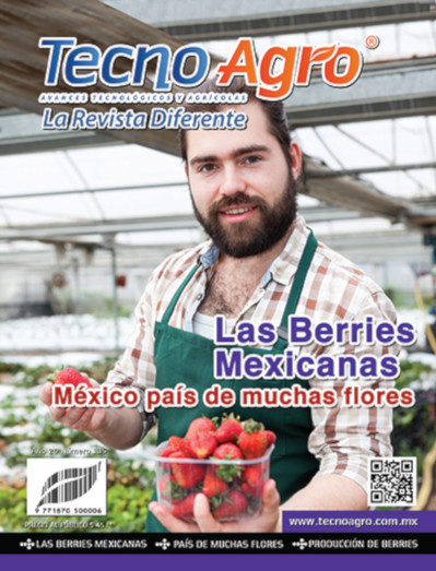 portada134