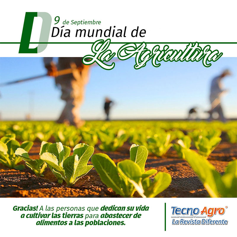 día agri web