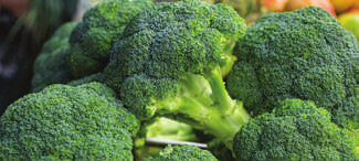 brocoli calabrese