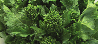 brocoli rabe