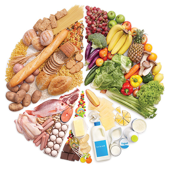 nutricion web