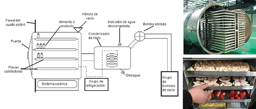 lifolizacion