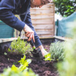 agricultura urbana