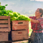 mujer rural