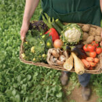 verduras 29jul