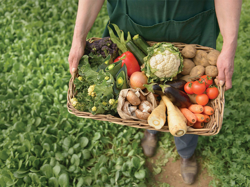 verduras 29jul