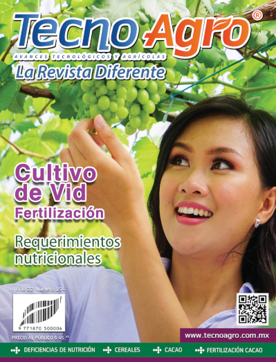 portada154