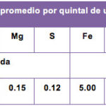 tabla vid1