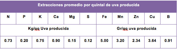 tabla vid1