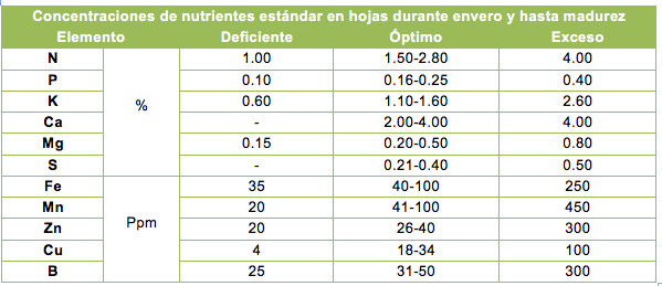 tabla vid3