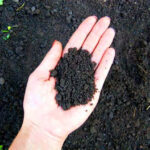 microsoil beneficios