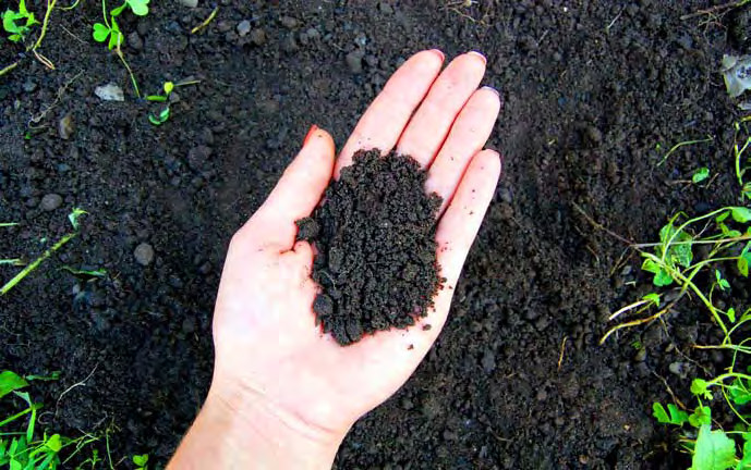 microsoil beneficios