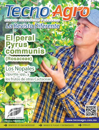 portada154