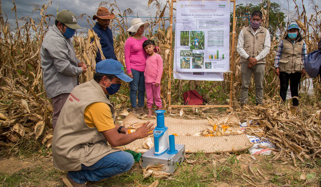 capacitacion campo