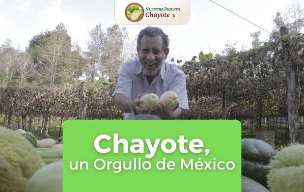 nota chayote