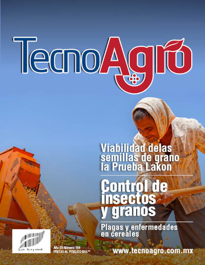 portada163