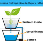 hidroponicos flujo reflujo