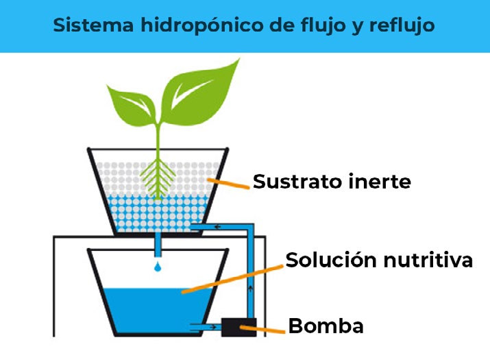 hidroponicos flujo reflujo