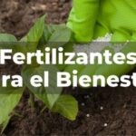 fertilizantes para el bienestar 02