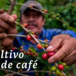nota 31mayo